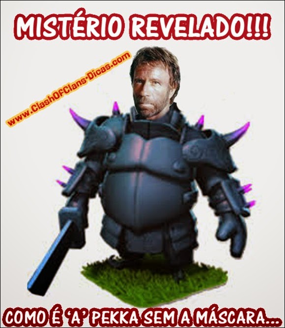 Mistério revelado - chuck norris pekka