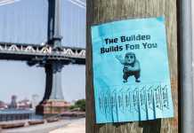 Em Busca de um novo construtor: A Seleção