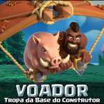 Voador – Melhorias, Wiki e Informações