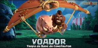 Voador – Melhorias, Wiki e Informações